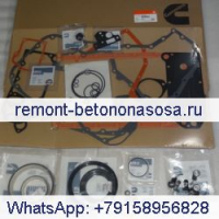 Комплект прокладок нижней части двигателя 4089759 для Cummins ISLE8.9L ISC