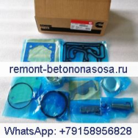 Комплект головки воздушного компрессора 4309439 для двигателя Cummins NT855