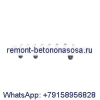 Трубка распределителя топлива Bosch Common Rail 0445226042 для Cummins DAF Fiat Ford Iveco VW