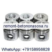 Поршень 6 шт. 3919564 для двигателя Cummins 6CT 6C C8.3 6CTA 6CT8.3
