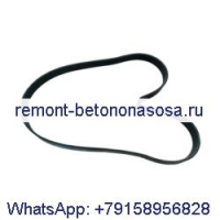 Поликлиновой ремень 3911573 3905867 для двигателя Cummins ISB QSB 6C ISC QSC ISL QSL