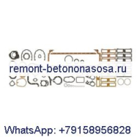 Комплект нижних прокладок 3801464 для двигателя Cummins NH NT855 G855 N14 NH220