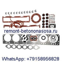 Верхний &amp; Комплект нижних прокладок 3800558 5579026 для двигателя Cummins 6C8.3 6CT8.3