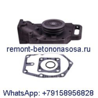 Водяной насос 3801715 3801784 для двигателя Cummins NT855 855 NH855 N310 NTC335 NTC350