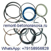 Для комплекта уплотнений цилиндра стрелы DAEWOO DH220-3