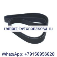 Поликлиновой ремень 8PK1900 1943456 для грузовика DAF CF FA 290 CF FA 370 CF FAS 300 XF FA 450