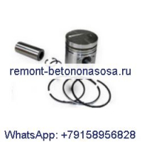 Комплект поршней с кольцами для двигателя Deutz BF8M1015C