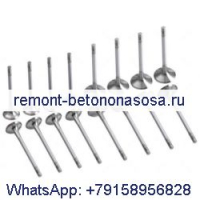 16 выпускных клапанов для двигателя Deutz BF8M1015C