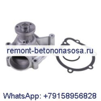 Водяной насос 04256850 02937454 для двигателя Deutz BF4M1012 BF6M2012 TCD2012L042V TCD2012L062V трактора Agroplus 100 75 85 95