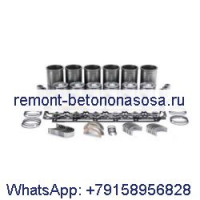 Комплект для капитального ремонта двигателя Deutz F6L912 D8006 D9006 D10006 DX110 трактора