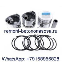 Комплект поршня 04286722 для двигателя Deutz BFM2011 TCD2011