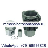 Комплект вкладышей поршня 02929968 для двигателя Deutz FL912