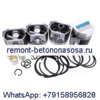 Комплект поршня 04232423 для двигателя Deutz BF4L913C BF6L913 BF6L913C