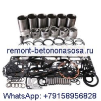 Ремкомплект Overahul для двигателя Deutz TCD914L06