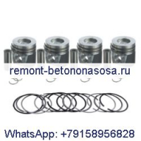 Комплект поршня 04102523 04102574 для двигателя Deutz TCD4L2011W TD4L2011I