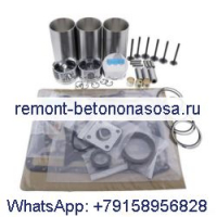 Комплект для капитального ремонта двигателя Yanmar 3TN100 3TN100E 3TN100TE Daewoo Doosan Loader DSL801