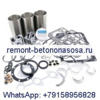 Комплект для капитального ремонта двигателя Isuzu 3LD1 Doosan Daewoo Excavator DH35